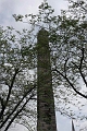 Istanbul 479